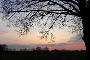 Zonderondergang in de polder