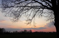 Zonderondergang in de polder