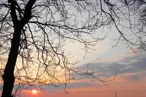 Zonsondergang in de polder