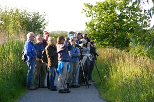 vogelaars Zouweboezem