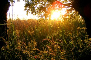 avondzon Zouweboezem