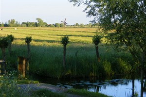 uitzicht vanaf pad Zouweboezem