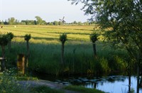 uitzicht vanaf pad Zouweboezem