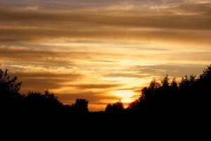 Zonsondergang bij Ankveense Plassen