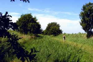 prachtige wandeling tussen de plassen