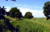 prachtige wandeling tussen de plassen