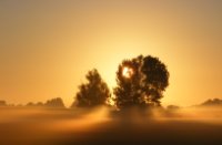 ochtenglore in lag mist, Houten