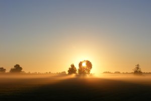 Ochtendglore in lage mist