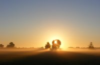 Ochtendglore in lage mist, Houten