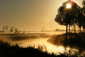 Ochtendzon in lage mist