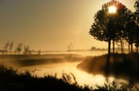 Ochtendzon in lage mist, Nieuw Wulven, Houten