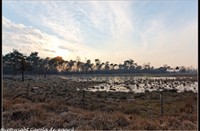 strijbeekse heide