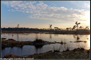 strijbeekse heide