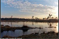 strijbeekse heide