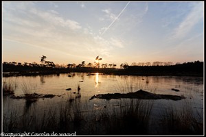 strijbeekse heide