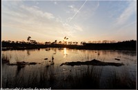 strijbeekse heide