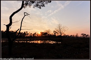 strijbeekse heide