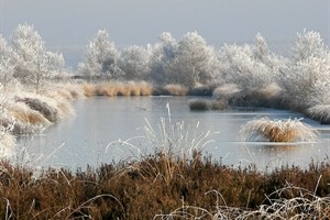 Fochteloerveen