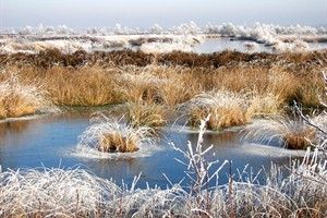 Fochteloerveen