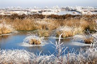 Fochteloerveen