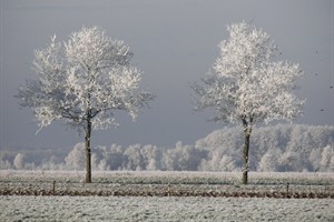 Fochteloerveen