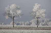 Fochteloerveen