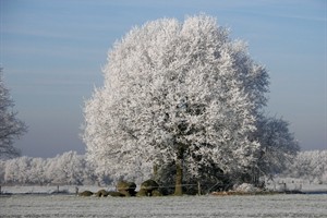 Fochteloerveen