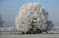 Fochteloerveen