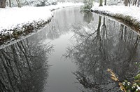 Spiegeling, Westhove - tussen Domburg en Oostkapelle