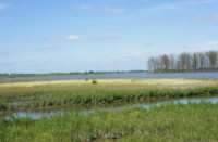 Biesbosch, Brabantse Biesbosch, H Bremer