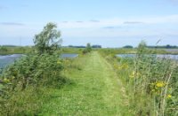 Wandeling, Brabantse Biesbosch, H Bremer