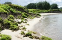 BijzonderStrand, Natuurgebied Loevestein-Munnikenland, H Bremer