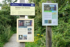 Duinen van Goeree