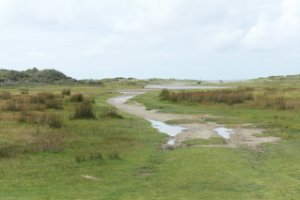 Zover stroomt de zee het duingebied in