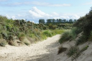 Duinen