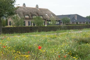 Boerderij aan de rand van Rucphense Bossen