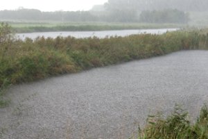 Schuilen voor de regen in de vogelkijkhut