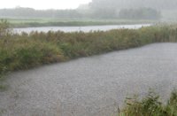 Schuilen voor de regen in de vogelkijkhut