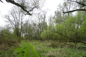 Wandelpad Zuidhaven