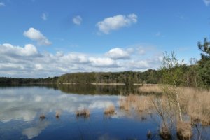 Vroege voorjaardag aan Galgeven