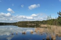 Vroege voorjaardag aan Galgeven