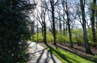 Lentezon door het tere groen, Leypark Tilburg, Jurgen Korporaal