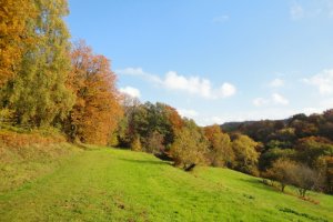 Herfst op zijn mooist