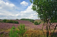 Vergezichten op het gelooiende landschap