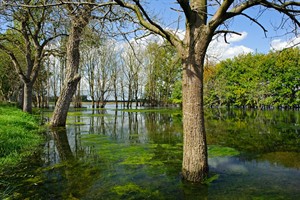 Nationaal Park De Biesbosch