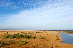 Tot aan de horizon grassen, veenmossen en veenpluis.