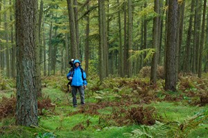 Fotograaf emral in Hijkerveld