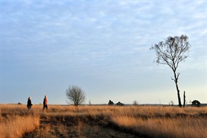 Wandelaars Strabrechtse heide