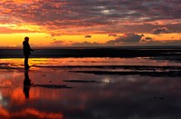 Atilla bij zonsondergang Oostvoornse Slikken