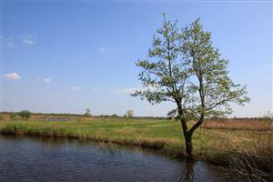 Dobberen langs de vogelrijke natuur